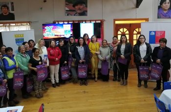 En la junta mujeres de Aysén conmemoran el Día Internacional de la Eliminación de la Violencia contra la Mujer