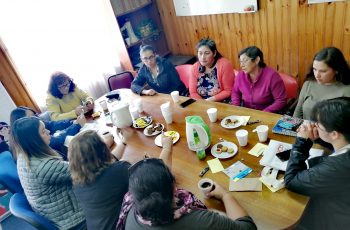 Mujeres de La Junta y Puerto Cisnes dialogan con Seremi de Aysén