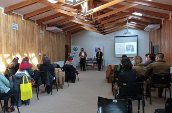 Importante jornada con equipos municipales lidera Seremi de la Mujer y la Equidad de Género en Coyhaique