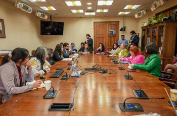 Ministra de la Mujer y la Equidad de Género y Subsecretario del Trabajo se reúnen con diputadas para revisar avances de Mesa Conciliación Trabajo y Familia