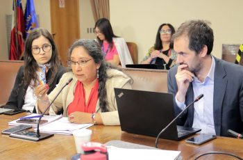Proyecto “Más Mujeres en Directorios” inicia su discusión en la Cámara de Diputados