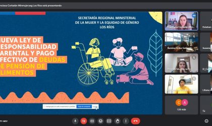 Charla virtual sobre Ley de Responsabilidad Parental y Pago de Deudas de Pensiones de alimentos reúne a más de 170 personas en Los Ríos