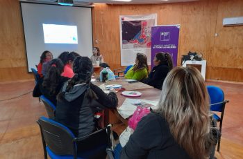 Mujeres de Caleta Chañaral de Aceituno se reúnen con Seremi de la Mujer y Equidad de Género