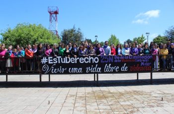 En Los Ríos: Ministerio de la Mujer lanza campaña de sensibilización en el marco del Día Internacional de la Eliminación de la Violencia de Género