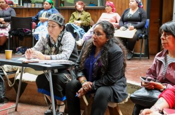 Subsecretaria Vidal encabeza el último Trawün de diagnóstico “Mujeres y sus Realidades Regionales” del Plan Buen Vivir y el Ministerio de la Mujer