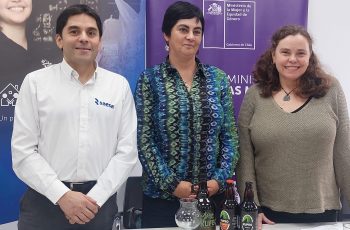 Saesa y Seremi de La Mujer invitan a emprendedoras de Los Ríos a postular al programa “Mujeres con Energía”
