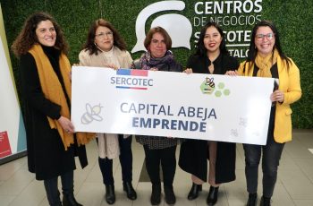 Capital Abeja: abren fondo para la creación de empresas lideradas por mujeres