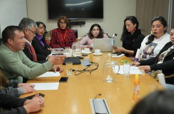 Familiares y organizaciones feministas de Atacama se reúnen con la ministra de la Mujer por violencia de género en la región