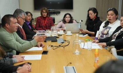 Familiares y organizaciones feministas de Atacama se reúnen con la ministra de la Mujer por violencia de género en la región