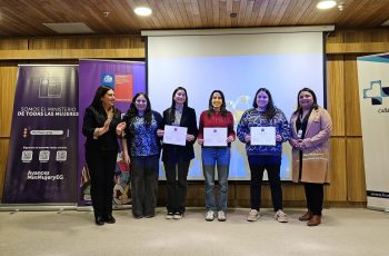 Profesionales de salud en Magallanes se capacitan para mejorar la atención a víctimas de violencia de género