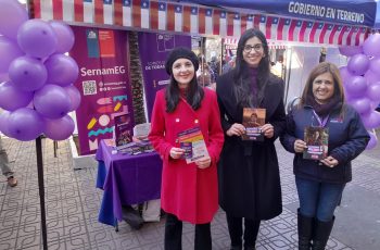 Con “Puntos Morados” Seremi de la Mujer de Ñuble refuerza prevención de violencia de género en Fiestas Patrias