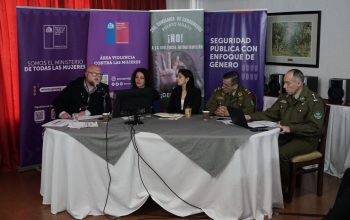 Los Lagos: Autoridades abordan casos de femicidios y violencia contra la mujer en sesión extraordinaria del STOP