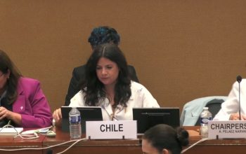 Comité CEDAW reconoció los avances de Chile en materia de prevención, sanción y erradicación de la violencia contra las mujeres