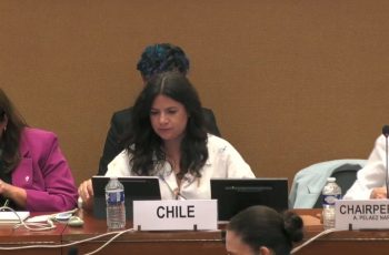 Comité CEDAW reconoció los avances de Chile en materia de prevención, sanción y erradicación de la violencia contra las mujeres