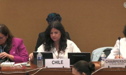 Comité CEDAW reconoció los avances de Chile en materia de prevención, sanción y erradicación de la violencia contra las mujeres