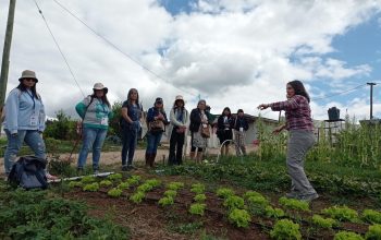 Ministerios de Agricultura y de la Mujer y la Equidad de Género relevan inédito curso online dirigido a mujeres profesionales del sector agrícola