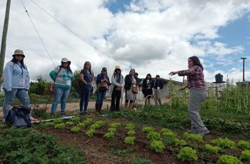 Ministerios de Agricultura y de la Mujer y la Equidad de Género relevan inédito curso online dirigido a mujeres profesionales del sector agrícola