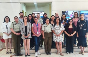 Funcionarios públicos de Antofagasta analizan la aplicación de la Ley Integral en el marco del 8M.