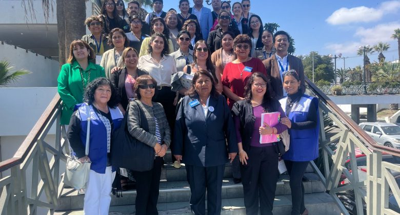 Seremi de Arica y Parinacota cierra cinco compromisos para abordar desafíos de zonas fronterizas en el XIII Comité de Integración y Desarrollo Fronterizo Chile-Perú