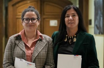 Ministra Orellana destacó ante el Congreso los avances en la implementación de la Ley Integral contra la Violencia hacia las Mujeres