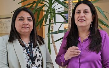 Fondo para la Equidad de Género de SernamEG 2025 busca impulsar proyectos liderados por mujeres en Magallanes