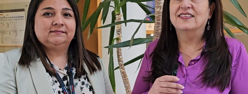 Fondo para la Equidad de Género de SernamEG 2025 busca impulsar proyectos liderados por mujeres en Magallanes