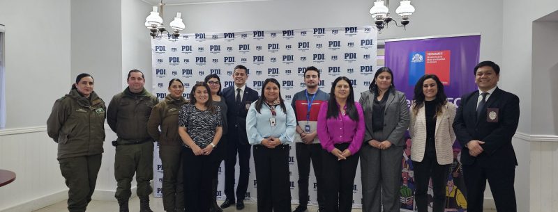 Magallanes: Autoridades refuerzan coordinación regional para enfrentar la violencia de género