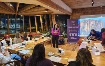 Cuidado, territorio y derechos: Magallánicas participan de diagnóstico regional para la XVI Conferencia Regional sobre la Mujer