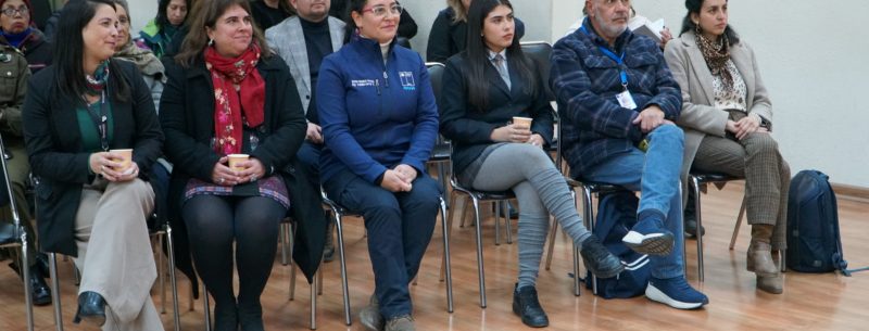 Maule: Delegación Presidencial de Linares realiza primer mapeo territorial para la prevención de las violencias de género con amplia participación