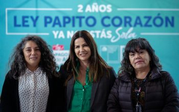 Ministra Orellana y alcalde Vodanovic informan cómo activar la Ley Papito Corazón