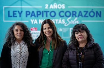 Ministra Orellana y alcalde Vodanovic informan cómo activar la Ley Papito Corazón