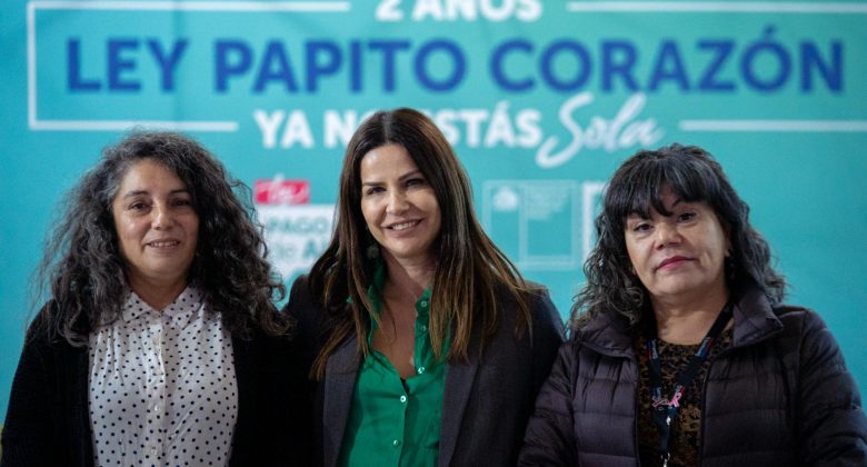 Ministra Orellana y alcalde Vodanovic informan cómo activar la Ley Papito Corazón