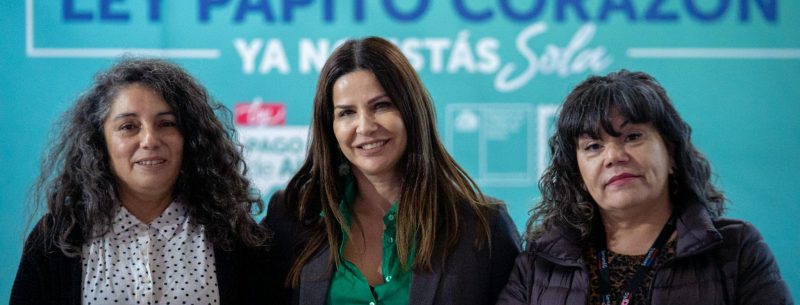 Ministra Orellana y alcalde Vodanovic informan cómo activar la Ley Papito Corazón