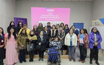 La Araucanía: Seremi de la Mujer impulsa conversatorio orientado a fortalecer la autonomía económica de las mujeres