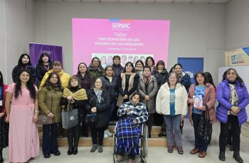La Araucanía: Seremi de la Mujer impulsa conversatorio orientado a fortalecer la autonomía económica de las mujeres