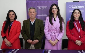 Autoridades de Ñuble lanzan campaña “Una Ley en Nombre de Todas” para prevenir la violencia de género