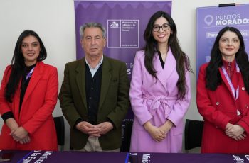 Autoridades de Ñuble lanzan campaña “Una Ley en Nombre de Todas” para prevenir la violencia de género