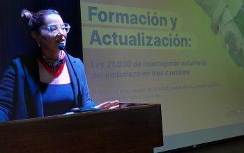En Ñuble certifican a funcionarias/os públicos capacitados en la actualización de la Ley IVE