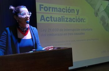 En Ñuble certifican a funcionarias/os públicos capacitados en la actualización de la Ley IVE