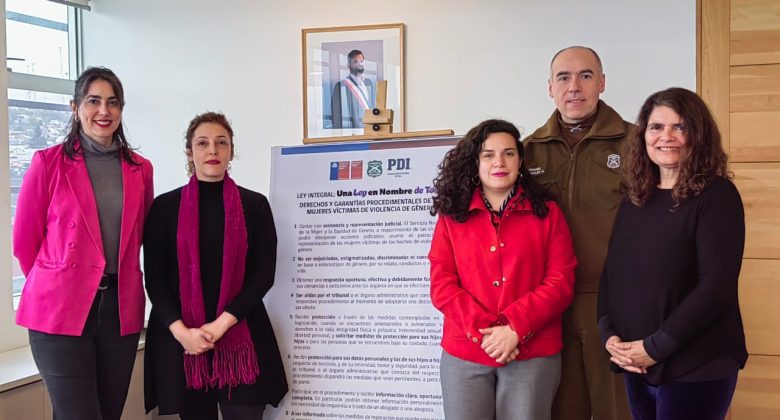 Plan 18 Seguro: Autoridades y policías de Los Lagos dan a conocer medidas de prevención y protección en casos de violencia de género