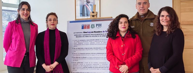 Plan 18 Seguro: Autoridades y policías de Los Lagos dan a conocer medidas de prevención y protección en casos de violencia de género