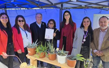 Feria Bazar Prodemu reunió a mujeres emprendedoras de Ñuble en Chillán