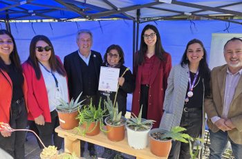 Feria Bazar Prodemu reunió a mujeres emprendedoras de Ñuble en Chillán
