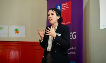 Ministerio de la Mujer capacita en cuatro regiones nuevo sistema que unifica información sobre casos de violencia contra la mujer