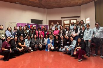 Región de la Araucanía: Encuentro Regional de Oficinas Municipales de la Mujer y la Equidad de Género se realizó con éxito en Pucón
